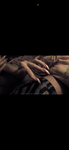 1683972867-s-1.png