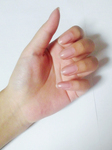 1742549040-s-1.jpg